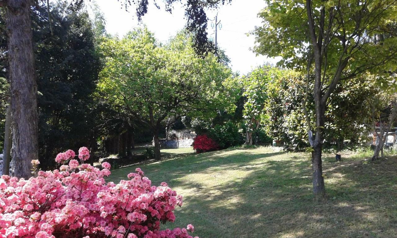Swanlake Rooms Nebbiuno Dış mekan fotoğraf